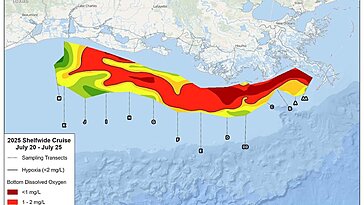 « Gulf of Mexico Dead Zone Smaller This Year, According to NOAA »