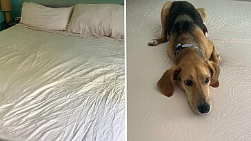 J’ai testé de nombreuses draps dans ma quête du duo parfait. Les draps en bambou Cozy Earth sont mes favoris.
