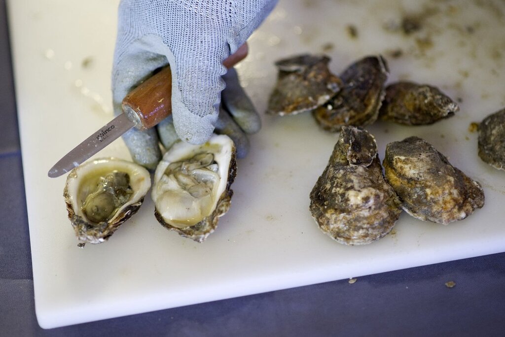 Deux décès en Louisiane dus à des bactéries dévoreuses de chair provenant d’huîtres