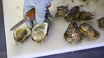 Deux décès en Louisiane dus à des bactéries dévoreuses de chair provenant d’huîtres