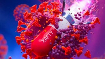 Développement d’un médicament oral contre le COVID-19 par des scientifiques coréens