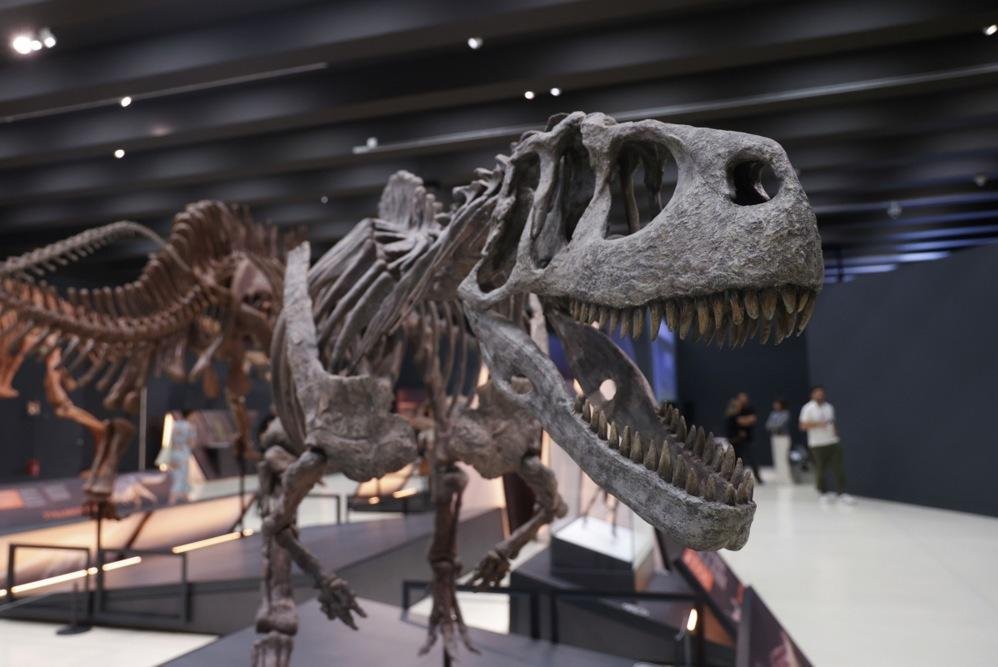 Des paléontologues découvrent un crocodile préhistorique en Patagonie Des paléontologues découvrent un crocodile préhistorique en Patagonie