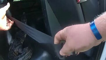 Un policier saisit un alligator à mains nues avant de le transporter dans son véhicule