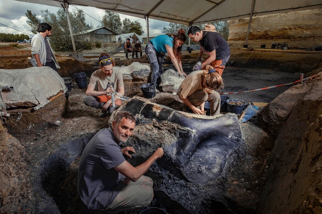 Le fascinant dinosaure découvert à Angeac-Charente