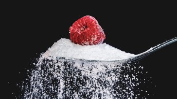 Consommation d’édulcorants artificiels à mi-vie : lien avec le déclin cognitif