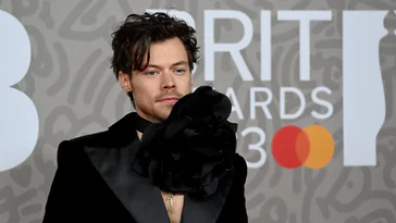 Harry Styles acquiert discrètement une propriété pour sa méga-villa de rêve durant sa romance avec Zoë Kravitz