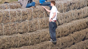 Les Neets sont des jeunes qui abandonnent l’idée de travailler avant même de commencer