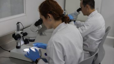 Le Brésil inaugure la plus grande biofabrique de moustiques pour combattre les maladies