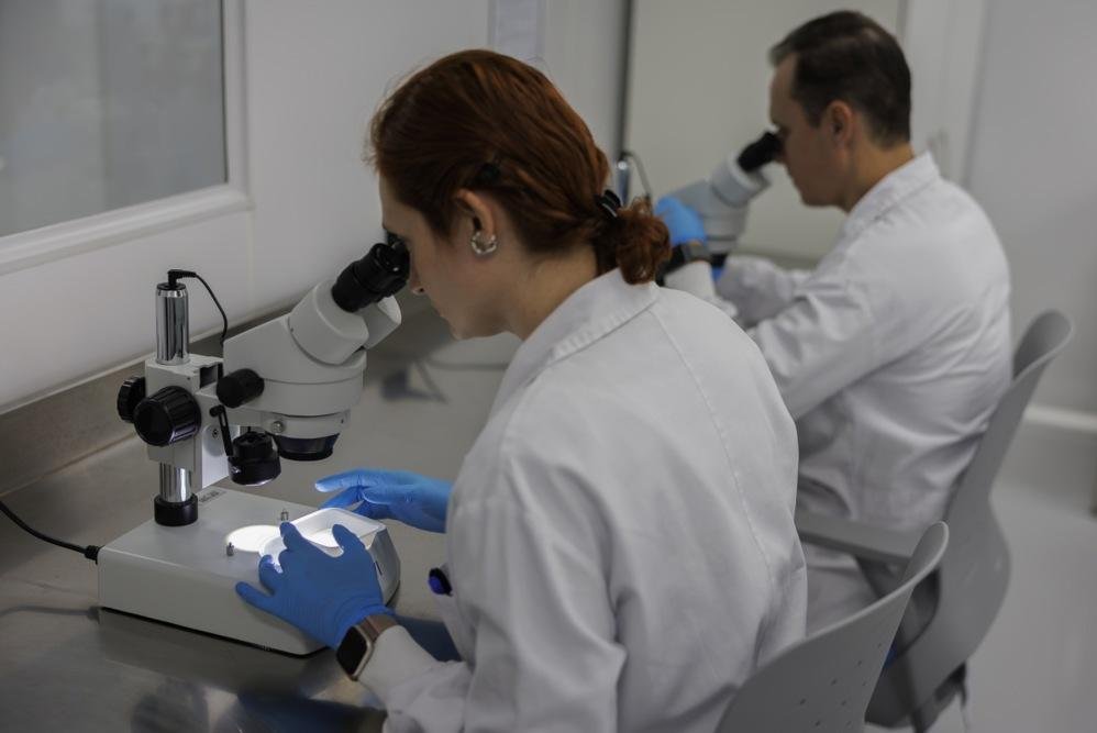 Le Brésil inaugure la plus grande biofabrique de moustiques pour combattre les maladies