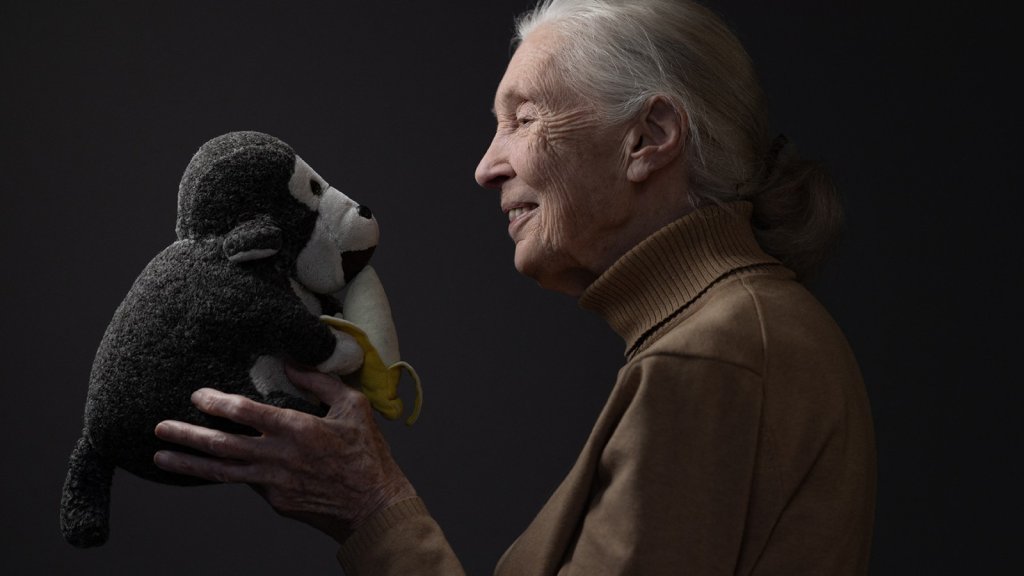 Un documentaire sur les dernières années de Jane Goodall, réalisé par Richard Ladkani Un documentaire sur les dernières années de Jane Goodall, réalisé par Richard Ladkani