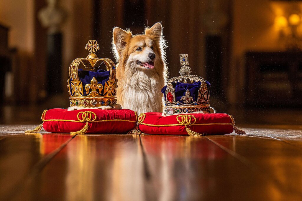 Comment les joyaux de la couronne d’Angleterre sont-ils sécurisés ? Comment les joyaux de la couronne d’Angleterre sont-ils sécurisés ?