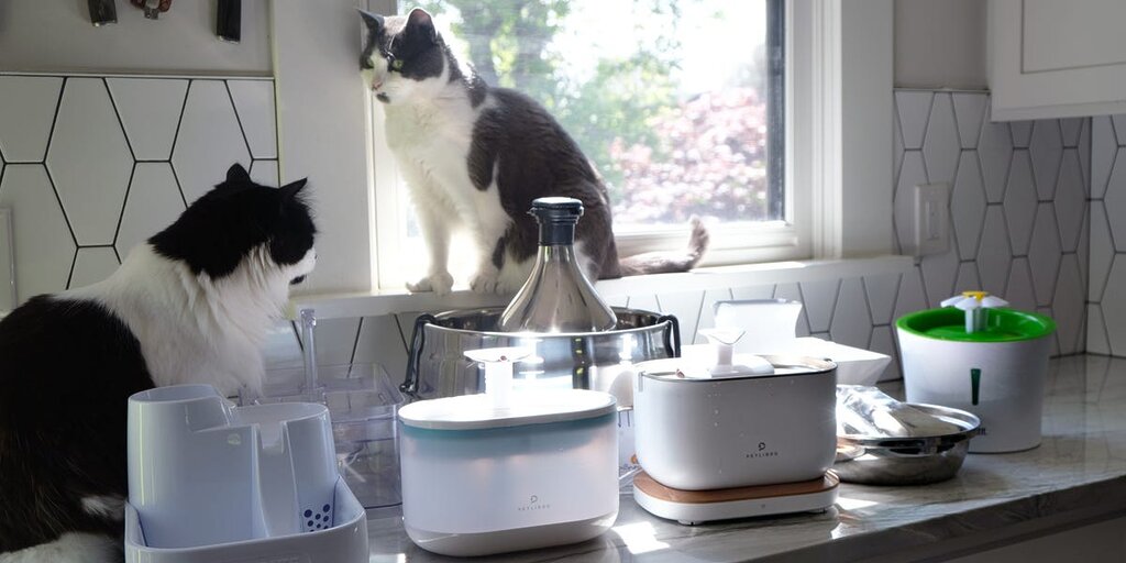 Les 6 meilleures fontaines à eau pour chats, testées et comparées