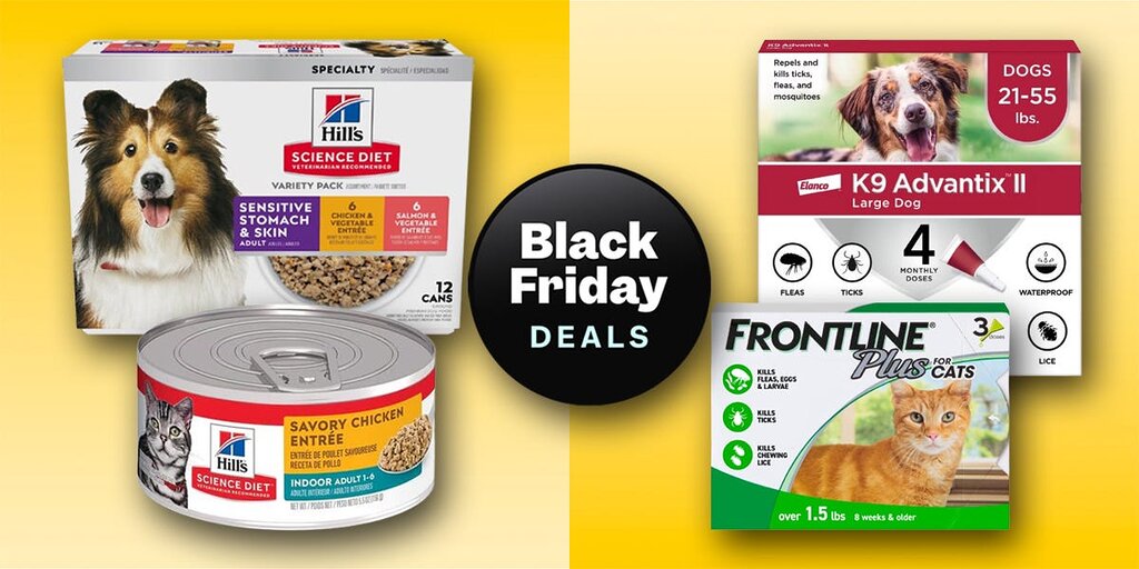Bénéficiez de réductions jusqu’à 40 % sur nourriture et médicaments pour animaux chez Chewy au Black Friday