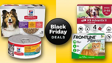 Bénéficiez de réductions jusqu’à 40 % sur nourriture et médicaments pour animaux chez Chewy au Black Friday