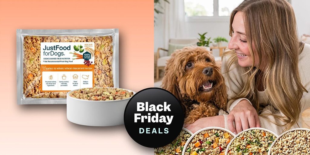 Profitez de l’offre Black Friday de Just Food For Dogs : 60 % de réduction pour les nouveaux abonnés