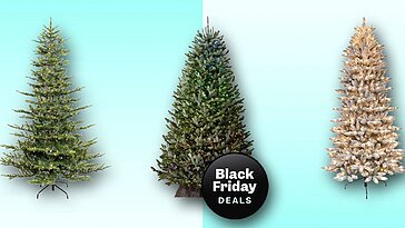 Profitez de remises jusqu’à 50 % sur les sapins de Noël chez Balsam Hill, King of Christmas, etc