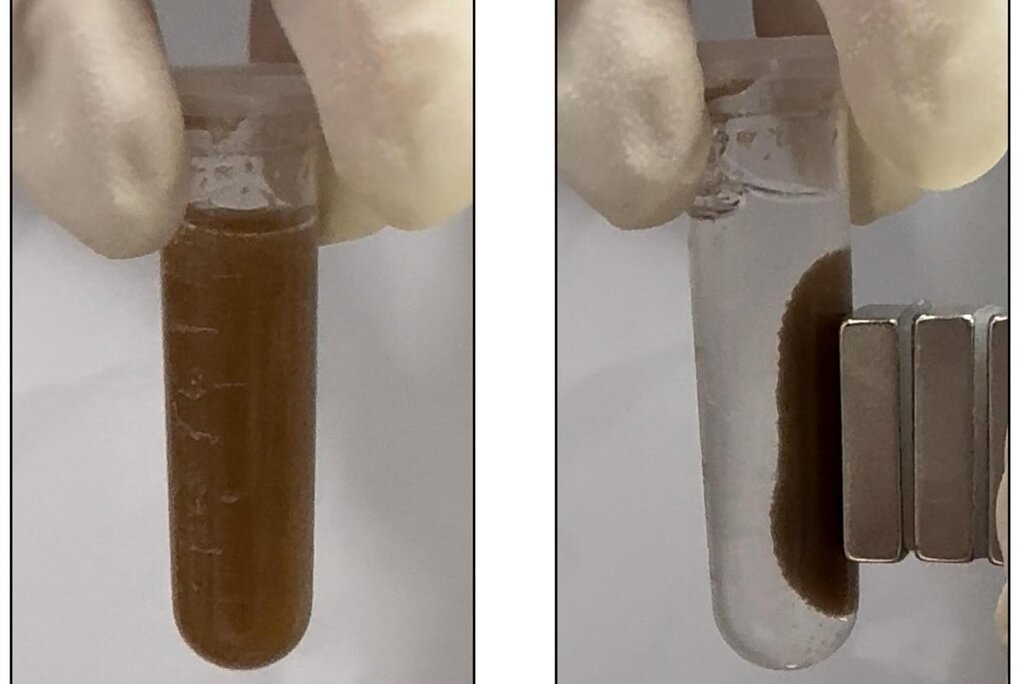 Les fabricants affirment que les gélules de bactéries offrent une alternative à la coloscopie Les fabricants affirment que les gélules de bactéries offrent une alternative à la coloscopie