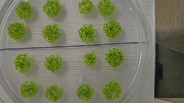 Moss a survécu neuf mois à l’extérieur de la Station spatiale internationale