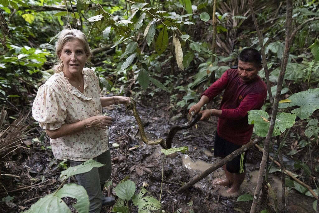Sophie d’Édimbourg découvre l’Amazonie et rencontre tarentules, anacondas et paresseux captivants
