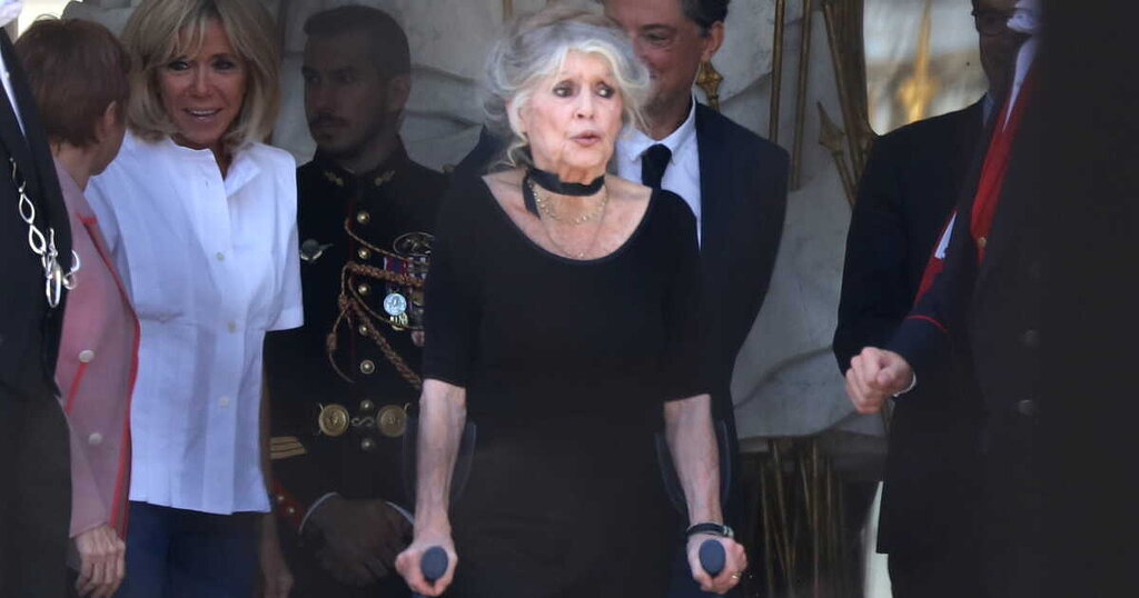 Brigitte Bardot hospitalisée : nouvelles informations sur l’état de santé de l’icône de 91 ans