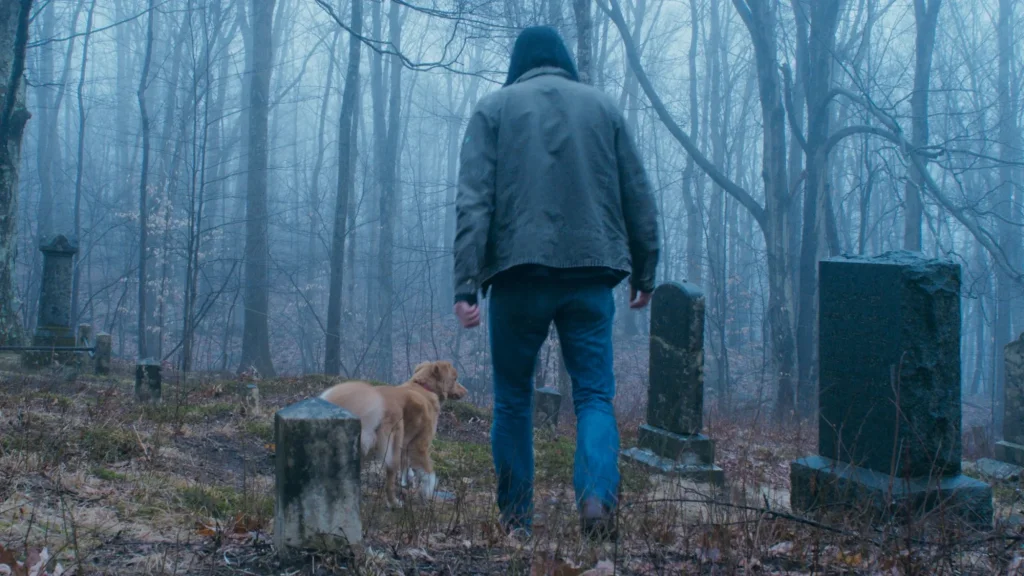 Horreur 2025 : le film exceptionnel annonce sa diffusion en ligne, avec 90% de succès sur RT Horreur 2025 : le film exceptionnel annonce sa diffusion en ligne, avec 90% de succès sur RT