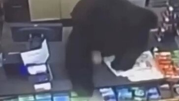 Un garçon de 11 ans aux États-Unis échappe à un ours noir qui l’attaquait dans un magasin