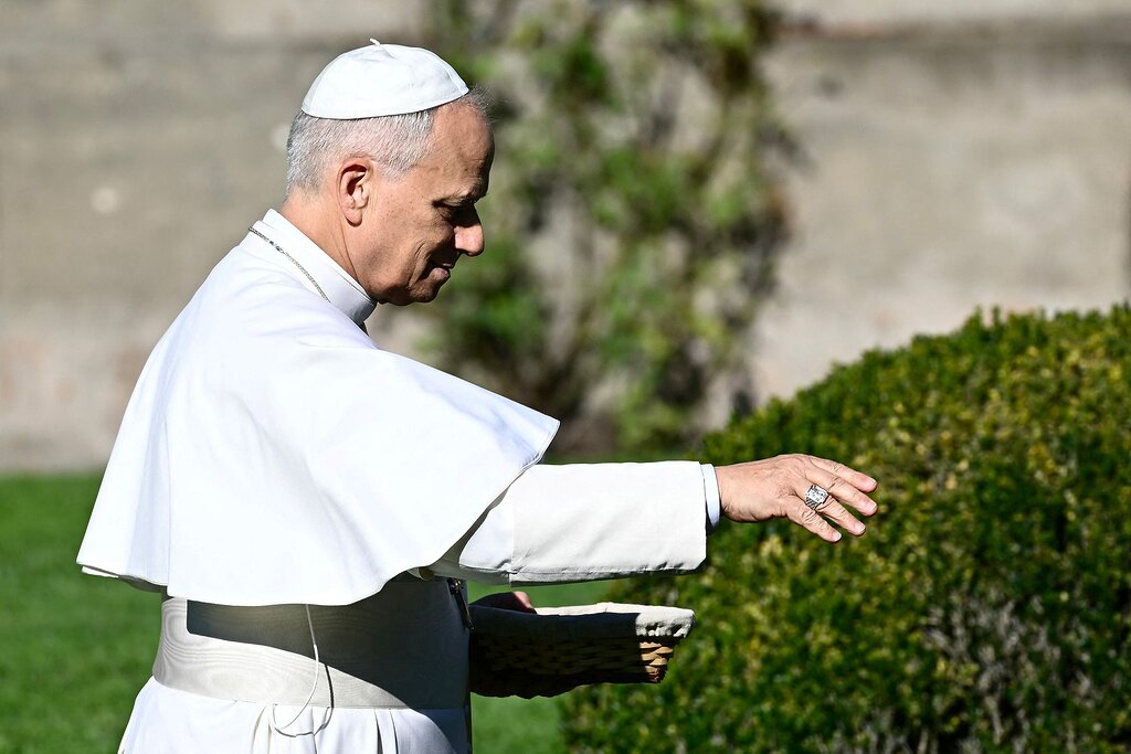 La vision écologique idéale du Vatican selon le pape Léon XIV