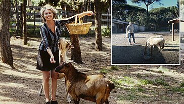 Brigitte Bardot et ses animaux confrontés à de fortes tensions