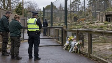 William Chapman, 24 ans, a été tué par un tigre dans un zoo anglais : qui était-il ?